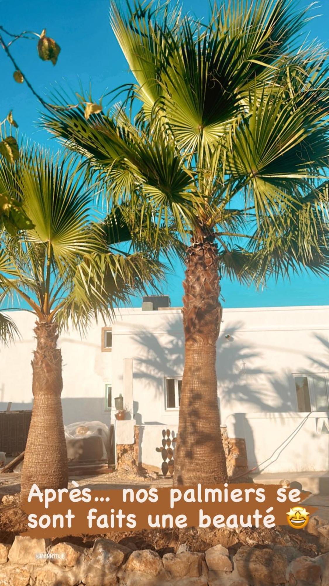 La Quinta Da Liberdade - Ferme De Charme En Algarve Villa Pechão Eksteriør billede