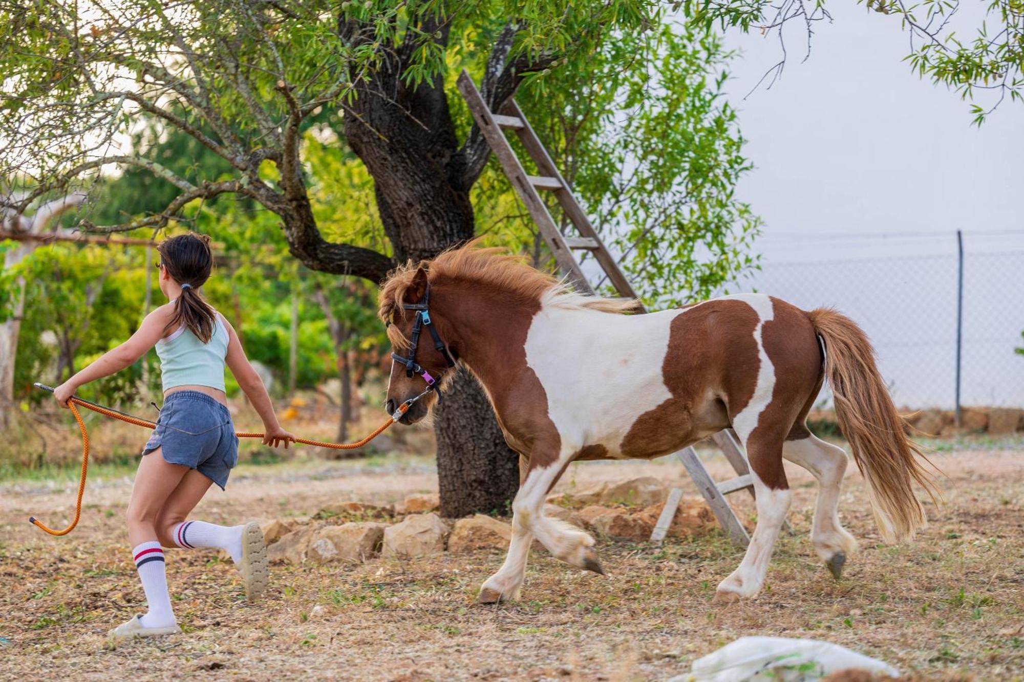 La Quinta Da Liberdade - Ferme De Charme En Algarve Villa Pechão Eksteriør billede
